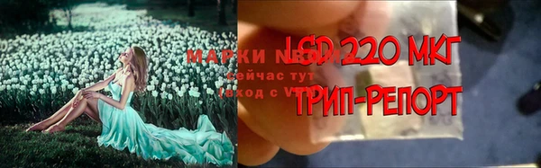 каннабис Абаза