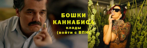 мдпв Инта