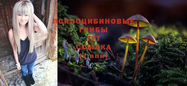 спиды Абинск
