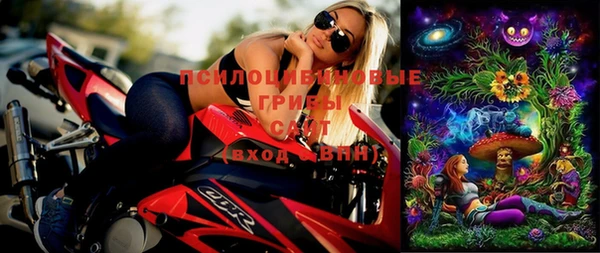 спиды Абинск