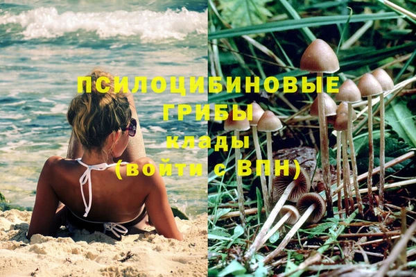спиды Абинск